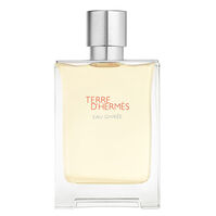 Terre d'Hermès Eau Givrée  100ml-206271 6